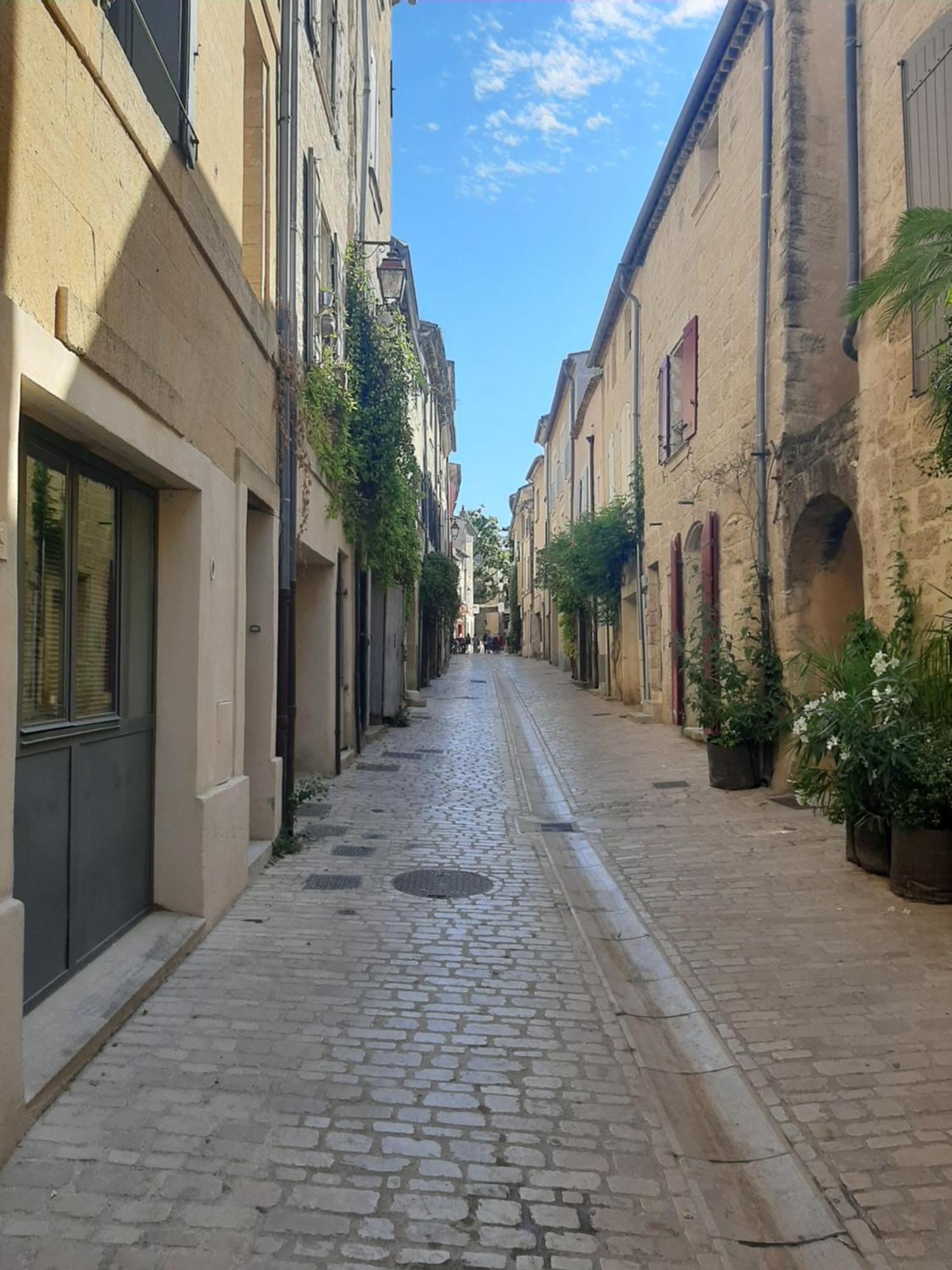 Appartement Avec Grand Jardin Et Parking, Uzes Luaran gambar